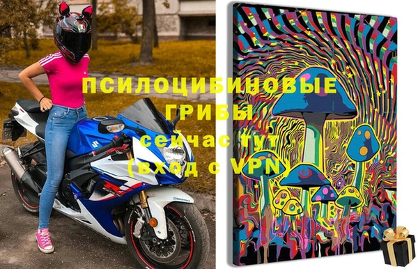 jwh Вуктыл