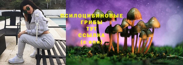 винт Протвино