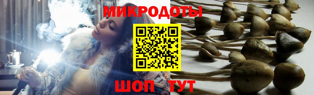 Аксай  Псилоцибиновые грибы прущие грибы  Вход с VPN 